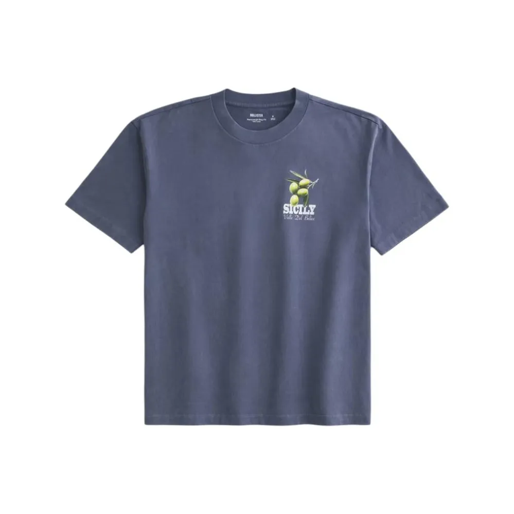 Hollister T-Shirt Мужская Светло-Морской Синий