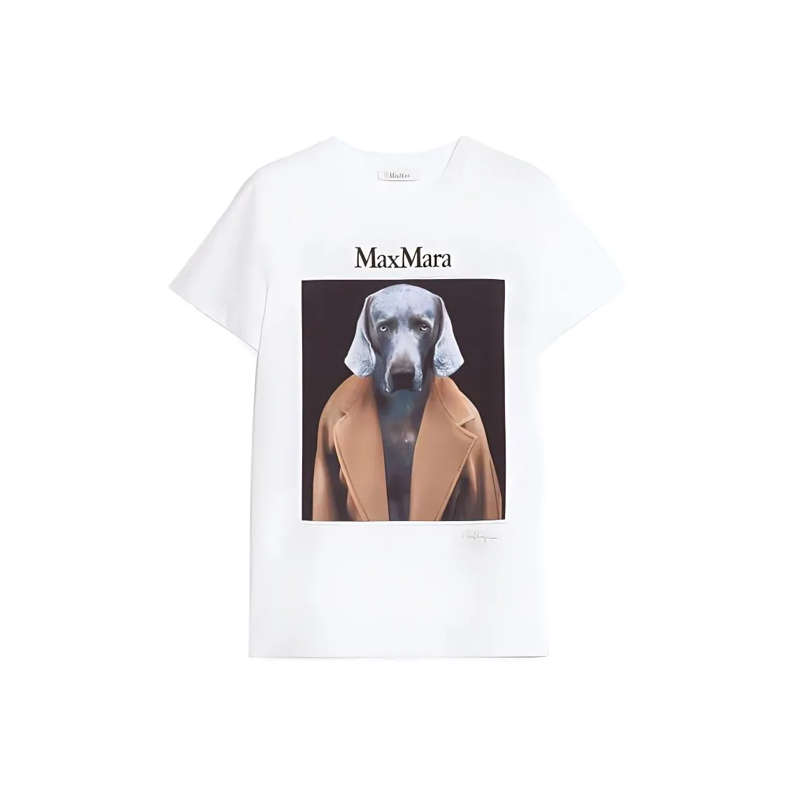 MaxMara Dog print Cotton T shirt