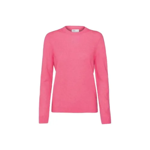 Colorful Standard Розовый Женские Свитеры