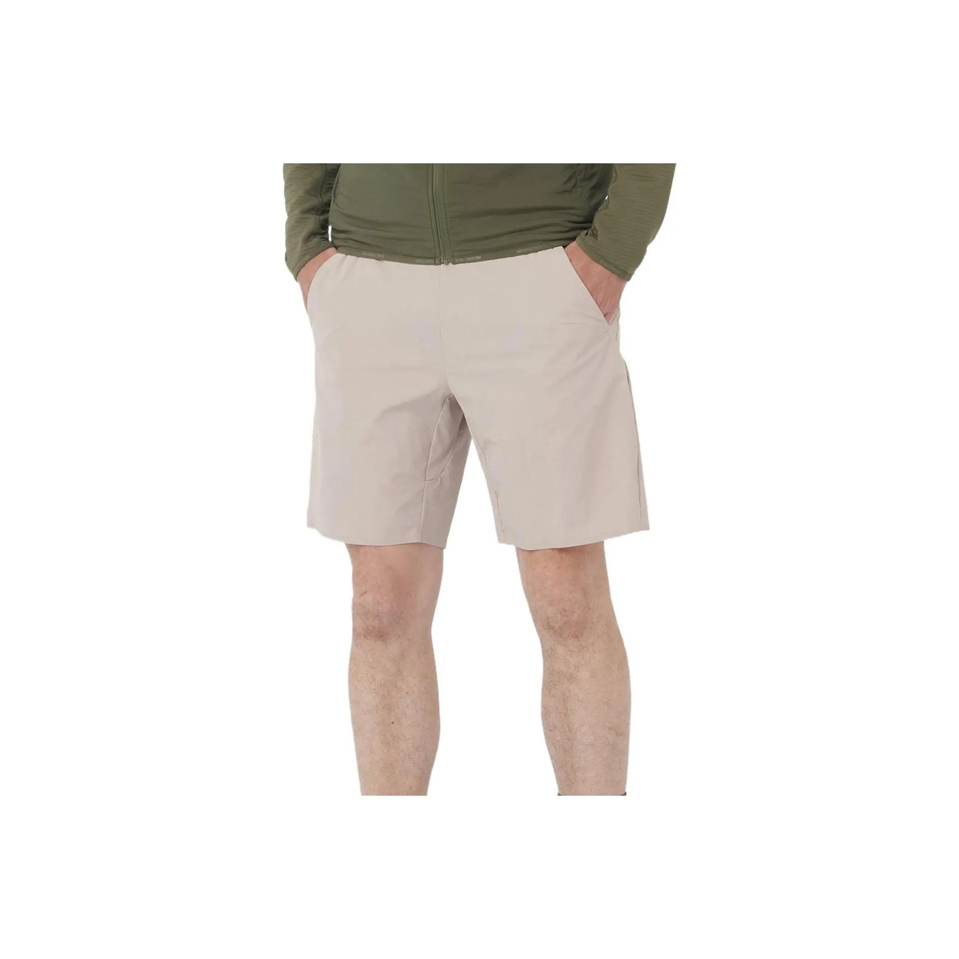SALOMON WAYFARER EASE Повседневные шорты Мужской Eritrea