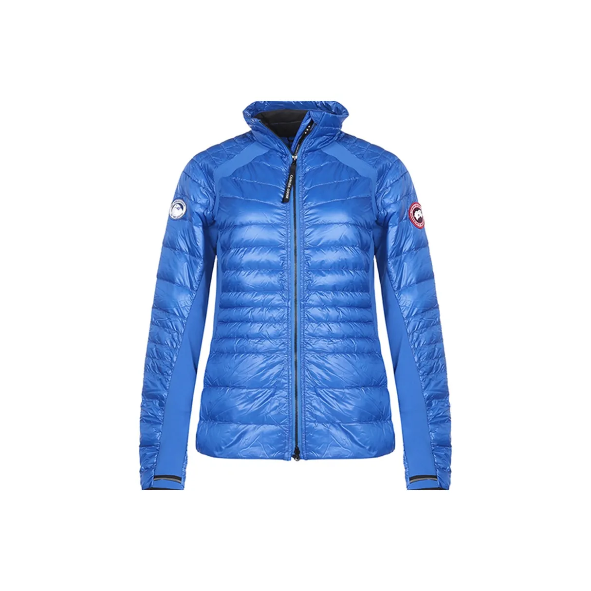 Canada Goose HyBridge Down Jackets Green Women's Royal Blue