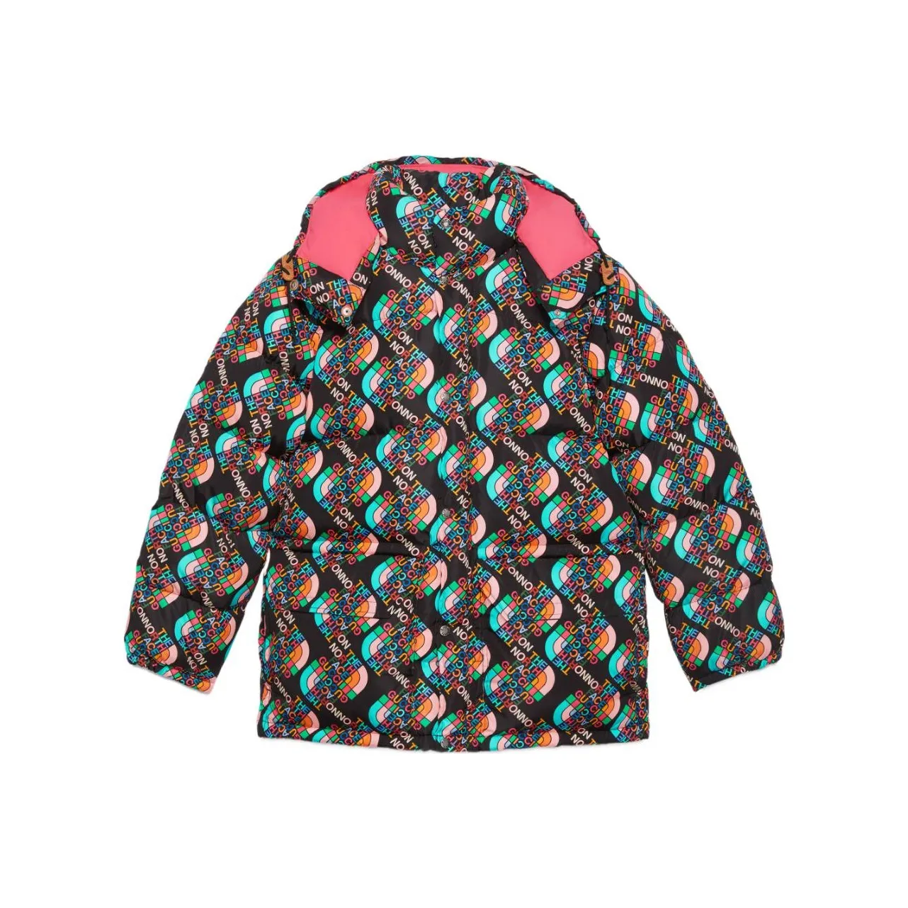 GUCCI X The North Face Down Jacket Multicolor/Black