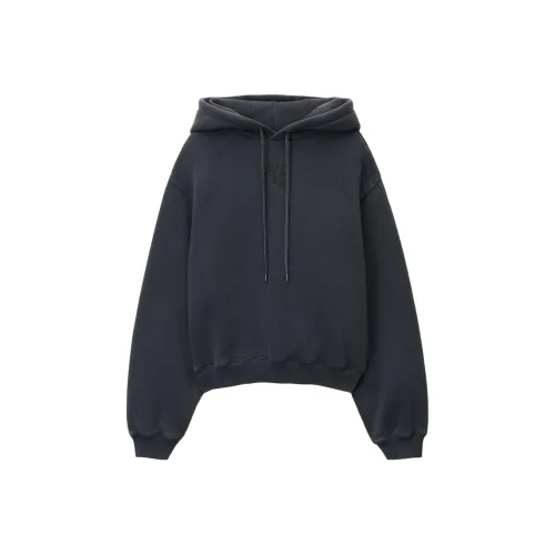 alexander wang Темно-серый Женские Свитшоты
