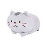 퍼피 고양이