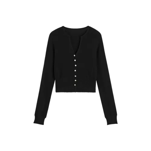 BEBE Женские Трикотажные изделия