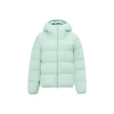 시안 그린 | 4740