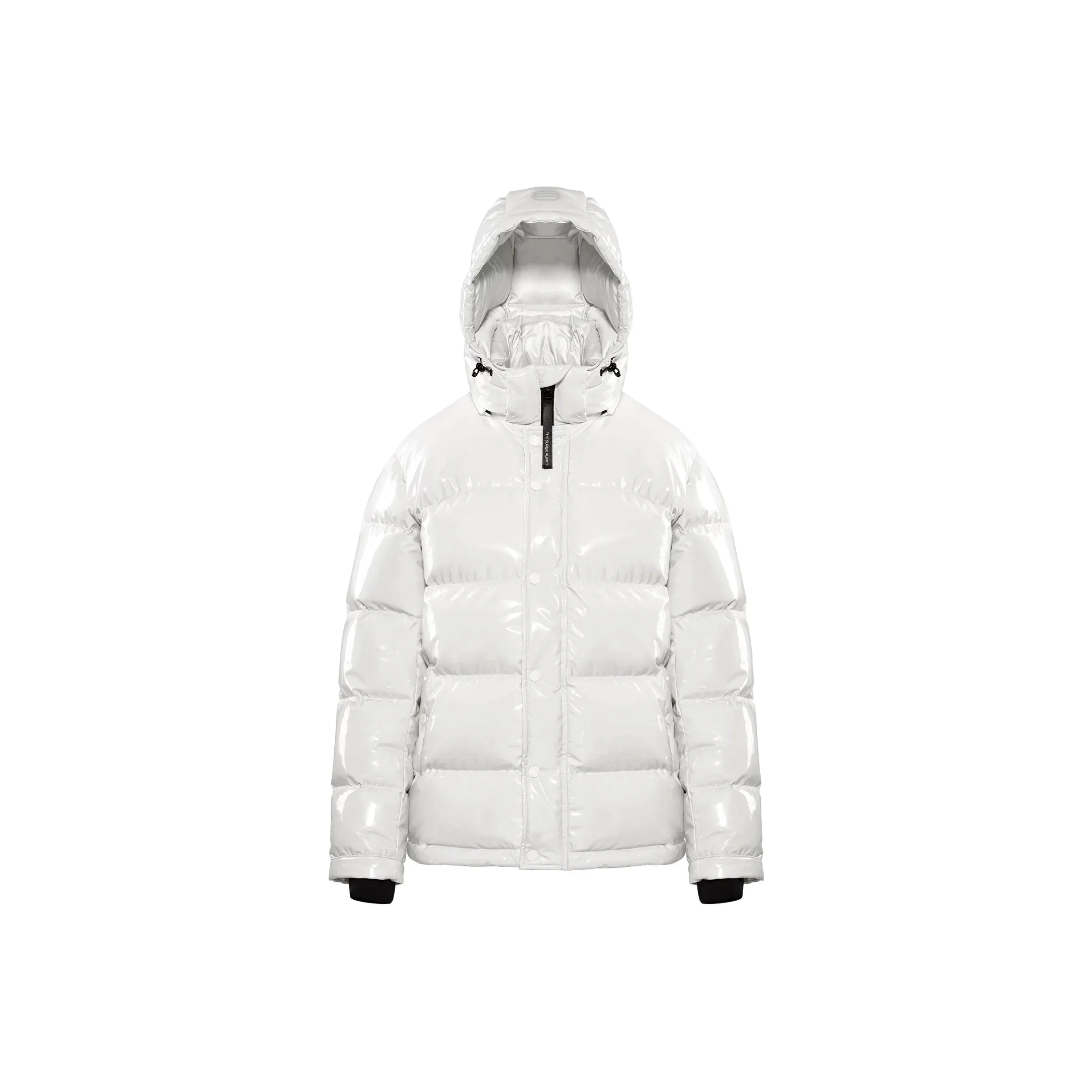 ARITZIA Женские пуховики