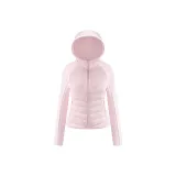카멜리아 핑크