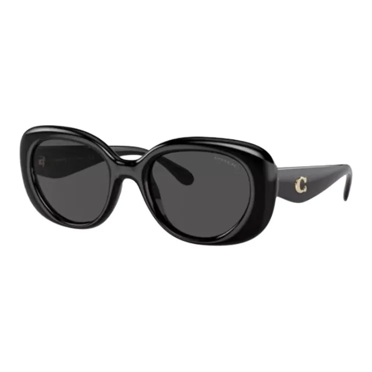 COACH Вакуумное литье OVAL SUNGLASSES Женские Черный