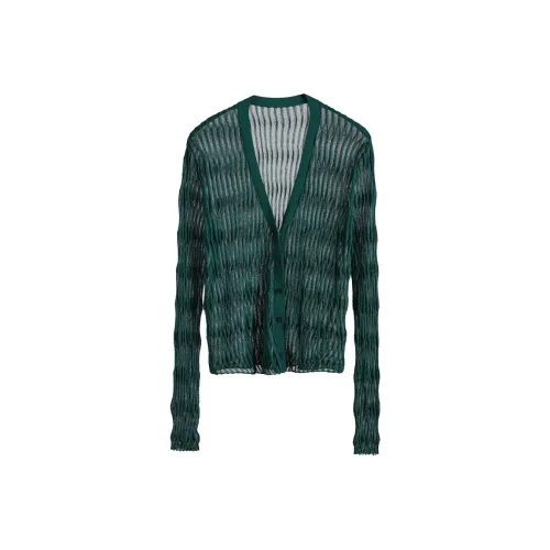 Rizhuo Wild Nature Зеленый Женские Трикотаж