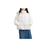 아이보리, 사전 판매, 12월 8일에 배송