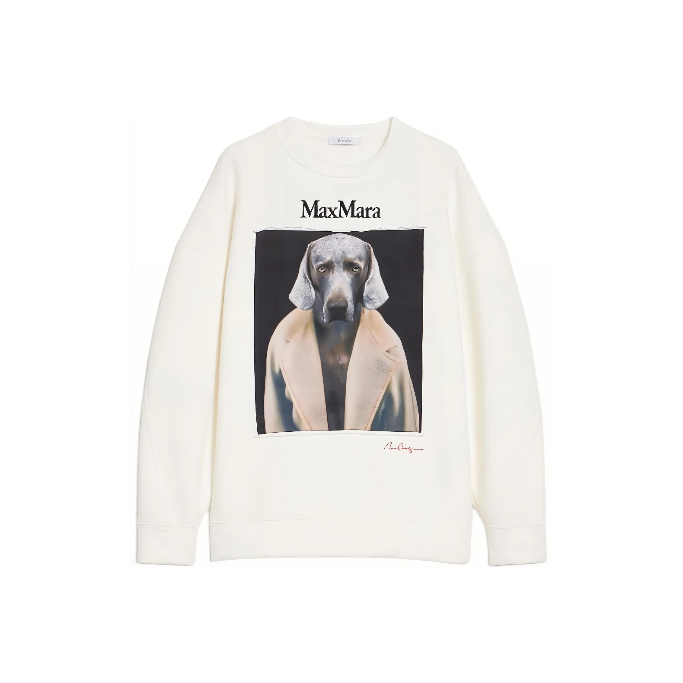 MaxMara Bacco Коллекция Хлопок Толстовка с Wegman Print Sweatshirt Женские Сливочный