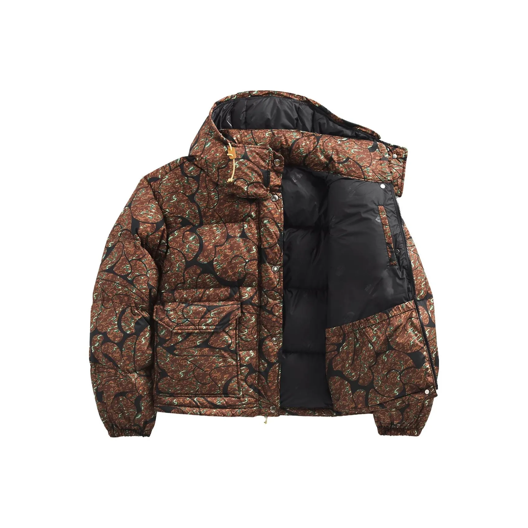 THE NORTH FACE Sierra Down Jacket Women's Brown