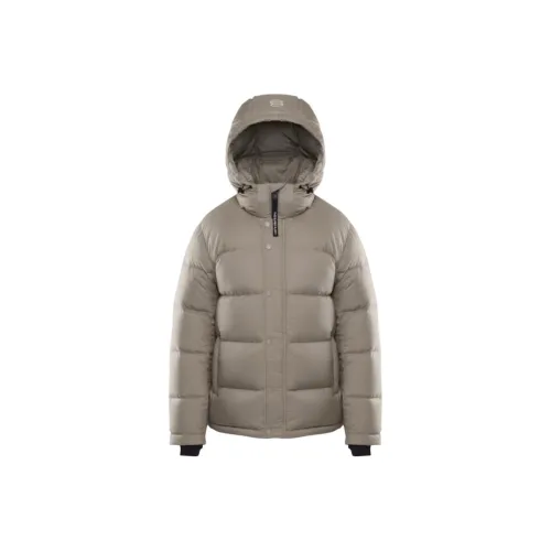 ARITZIA Современный тауп/Современный тауп Женские пуховики