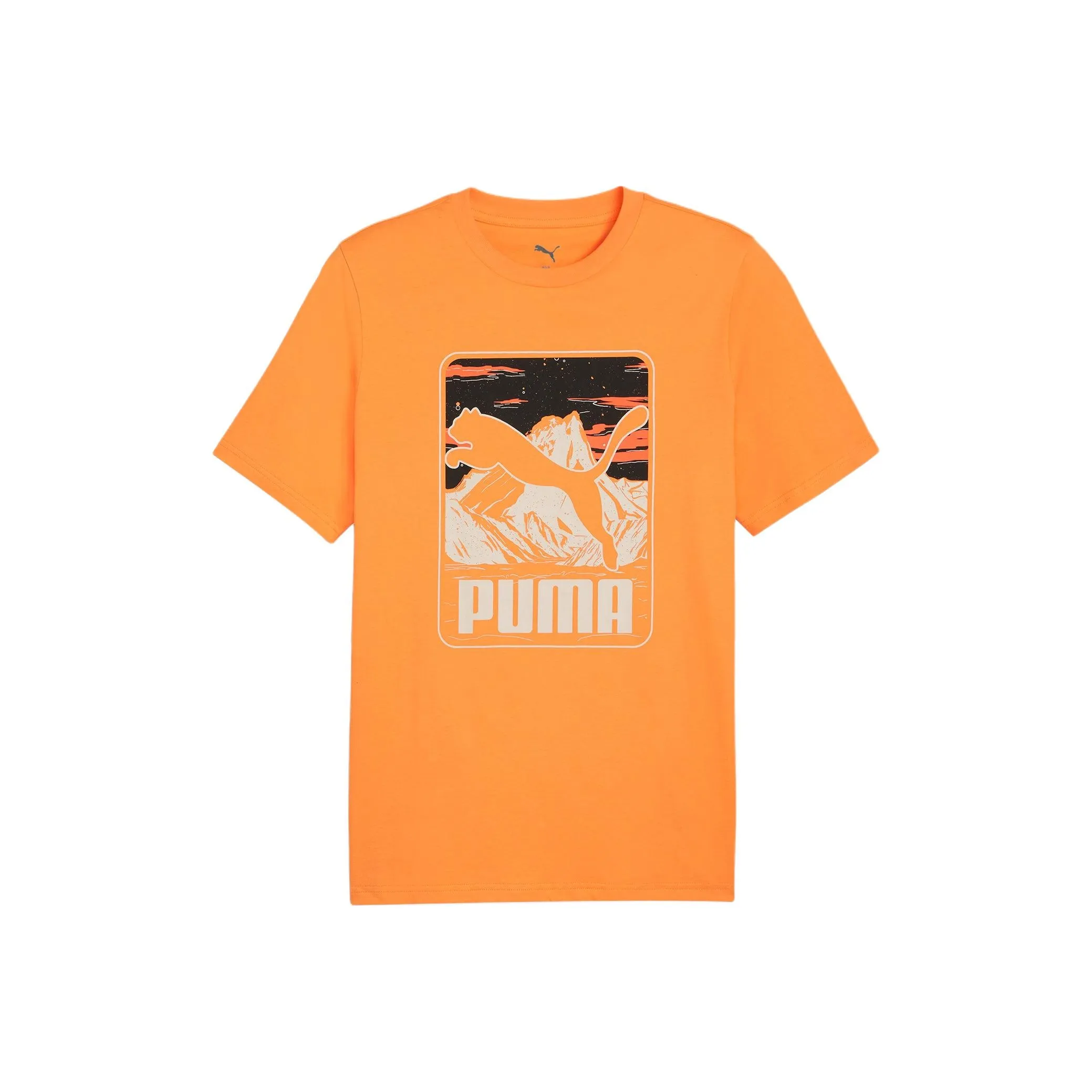 PUMA GRAPHICS Basic T Shirt Men's Orange