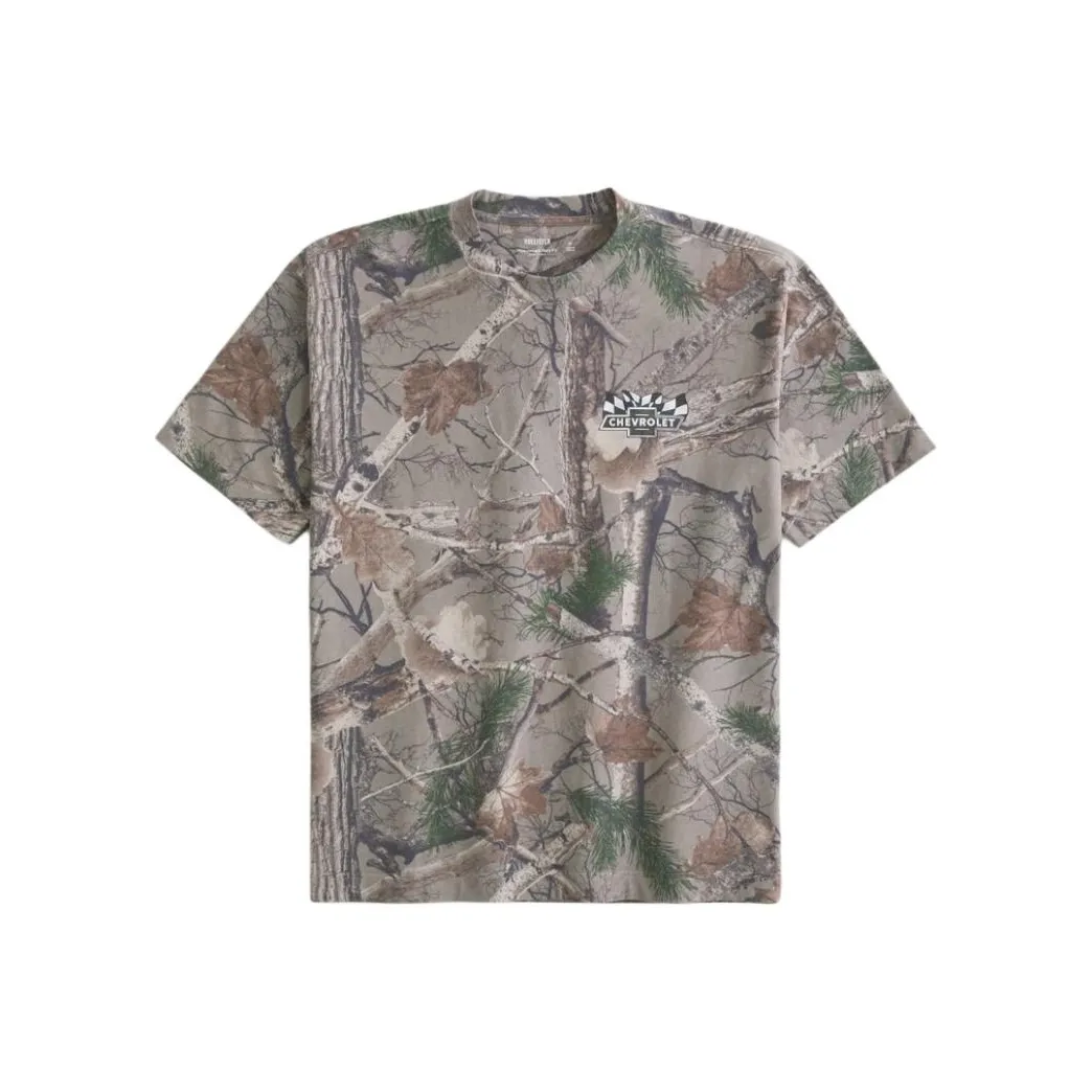 Hollister Коричневые Мужские T-рубашки