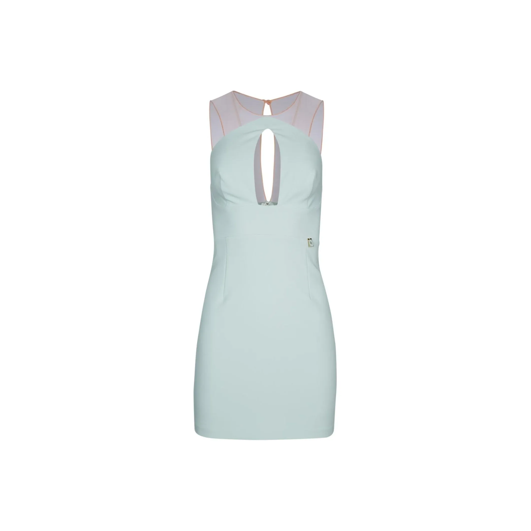 Elisabetta Franchi Cut Out Tulle Panel Mini Dress