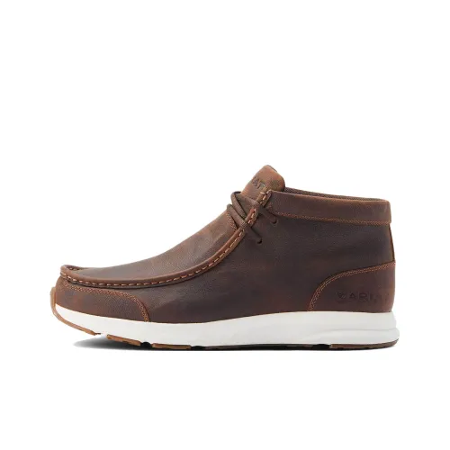 ARIAT Ботильоны Коричневый Мужские