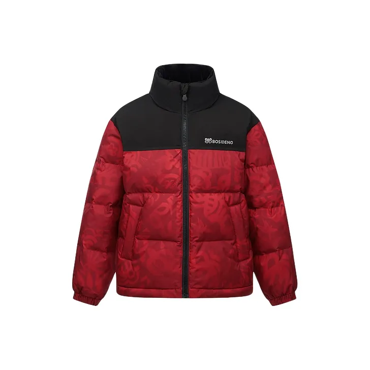 BOSIDENG x · Keith Haring Пуховик Fashion sports collection