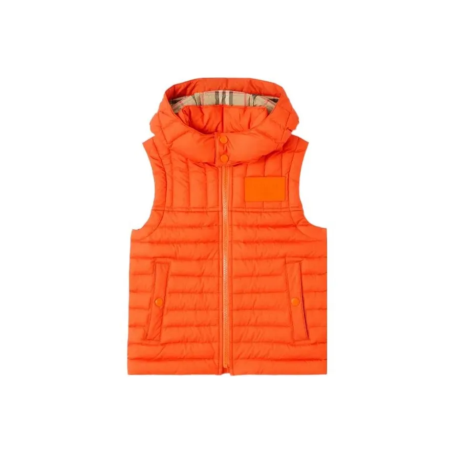 Burberry FW22 Жилет Темный Корица Детский