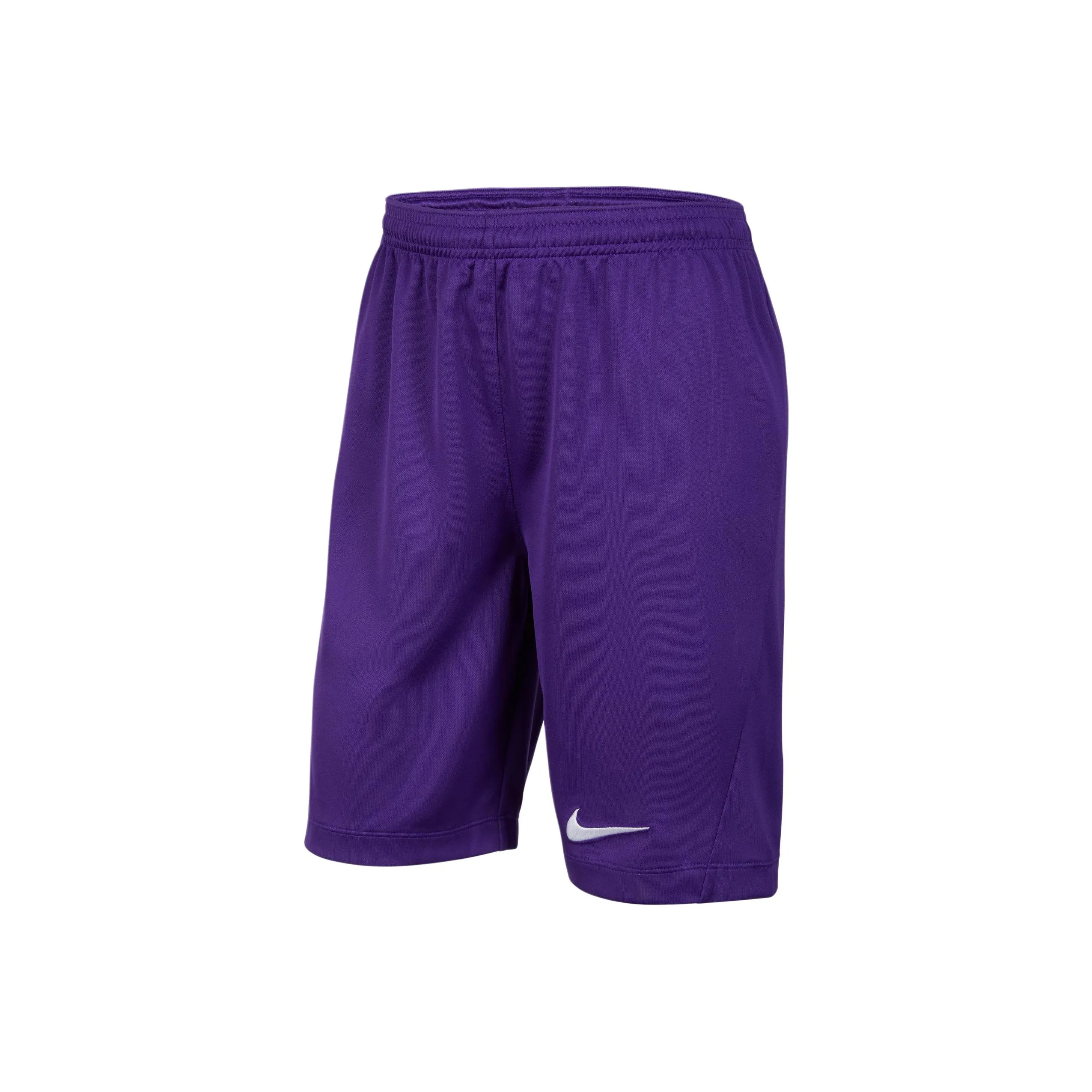 Nike Dri Fit SS25 Шорты Сад Фиолетовый