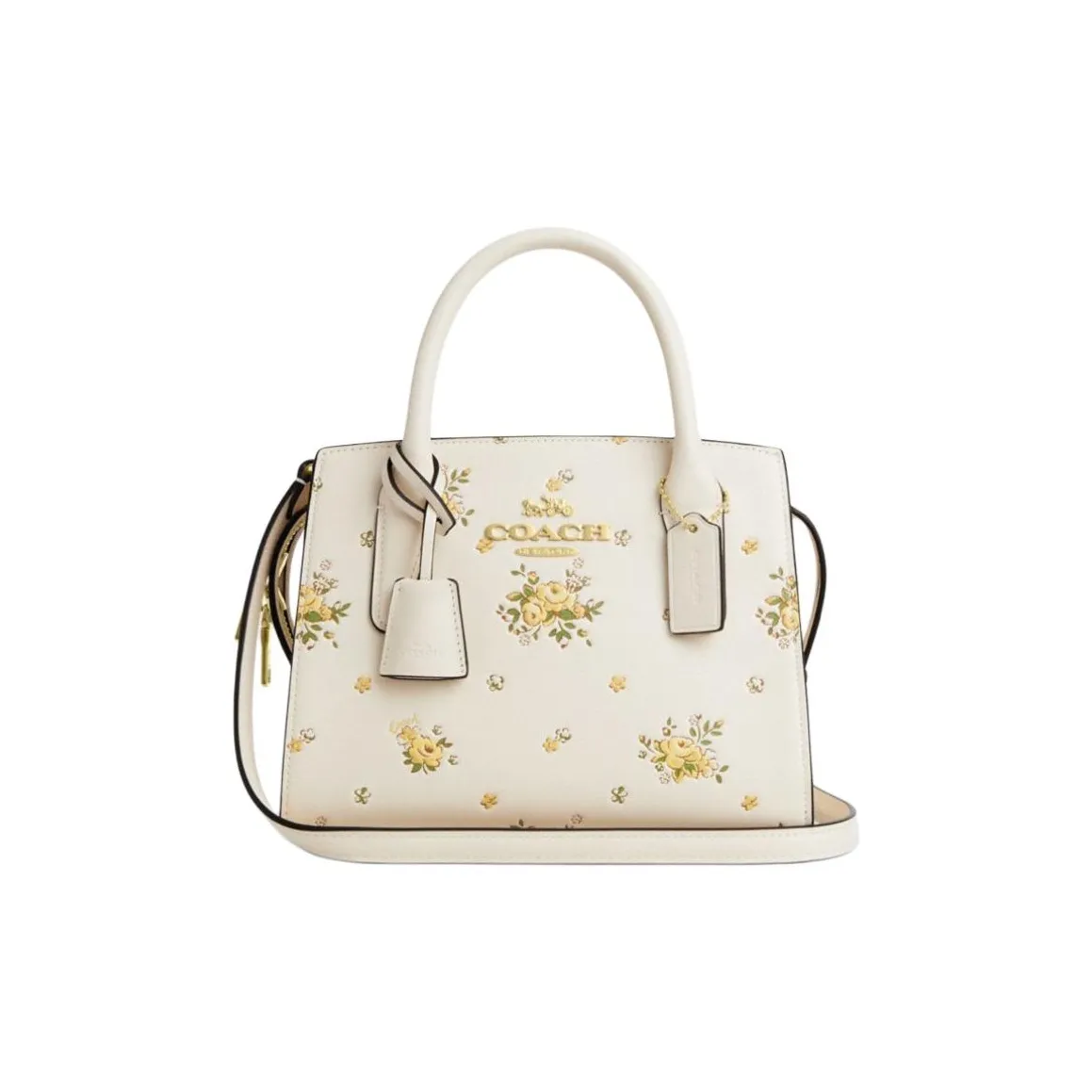 COACH ANDREA CARRYALL Телячья кожа Тоут Сумка Сумка для покупок Сумка на плечо Сумка Маленькая Женская Бежевая
