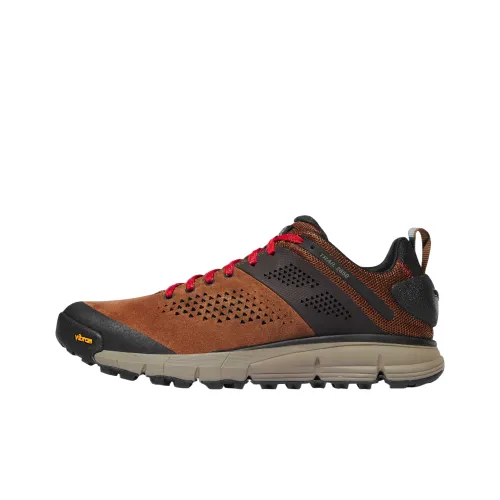 Danner Trail 2650 Уличная обувь Низкий верх Коричневый Мужская