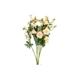 아이스버그 로즈 - 세 가지 품종, 3송이 + 샴페인 3송이