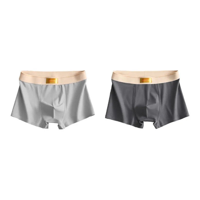 PLANDOO Underpants Men's 2 Pack