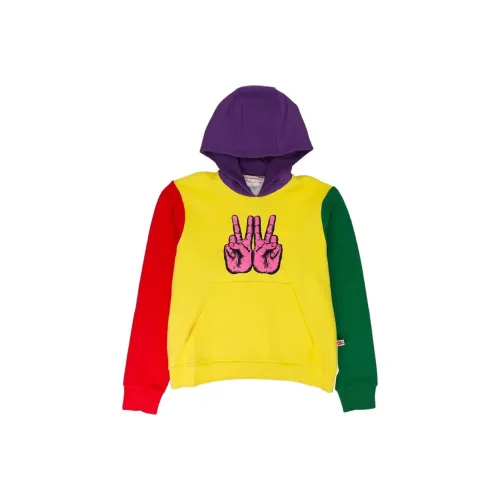 WALTER VAN BEIRENDONCK Многоцветные Мужские Свитшоты