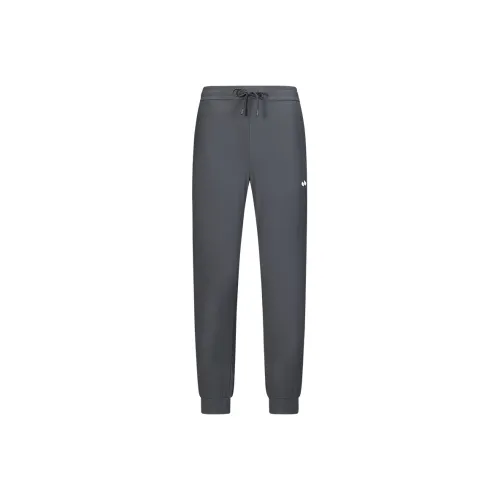 HOTSUIT Мужские повседневные брюки