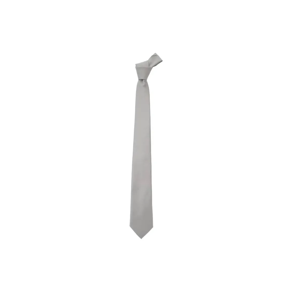 Tagliatore Polyester Ties Men's Gray