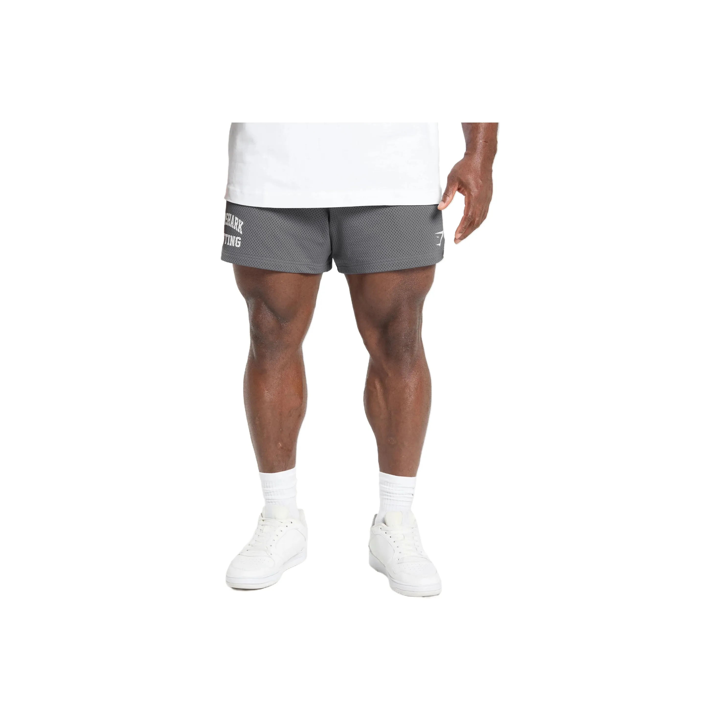 GYMSHARK Подъемный Сетка 5' Шорты Повседневные шорты Мужской Серый