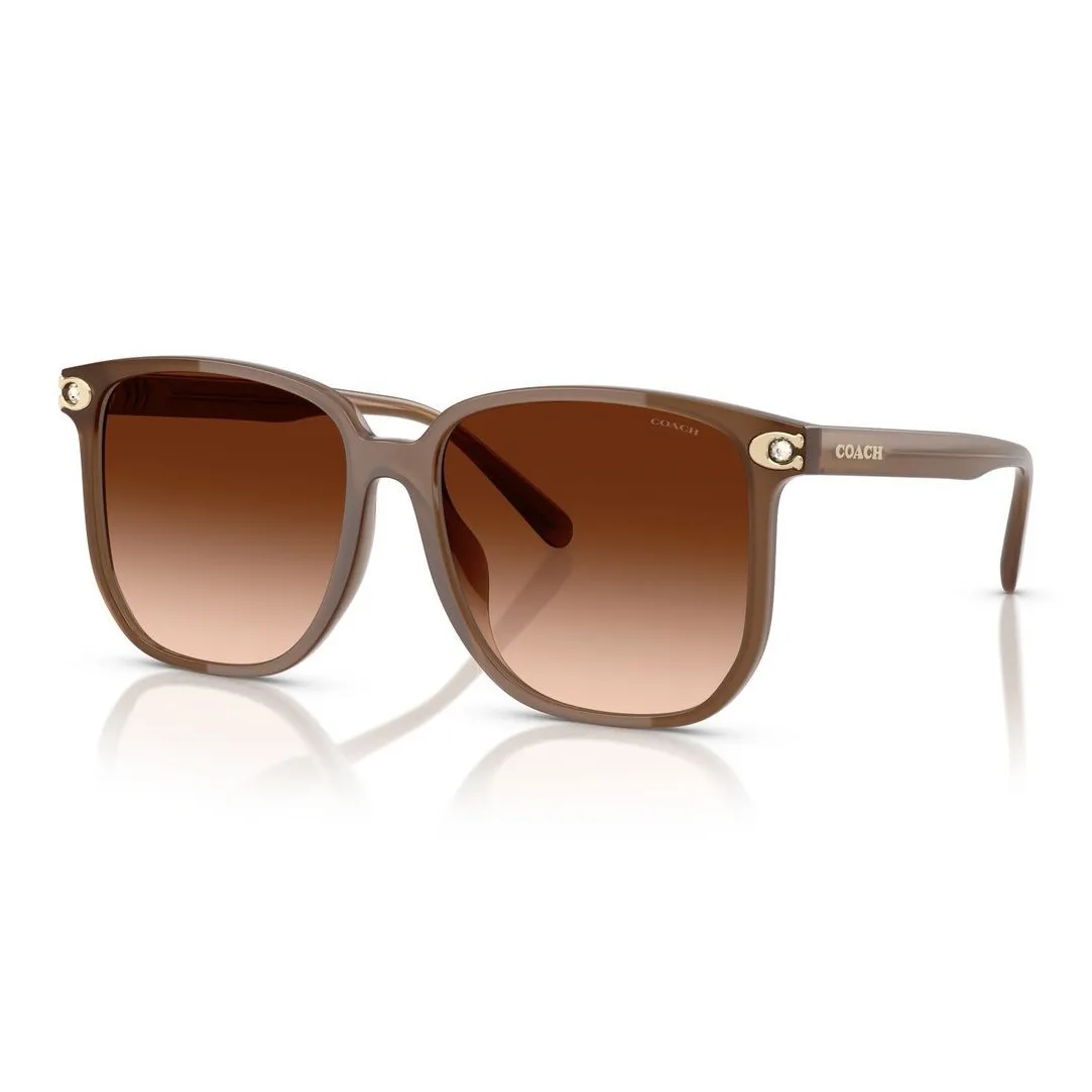 COACH Воздействие Литья Квадратные Солнцезащитные Очки Унисекс