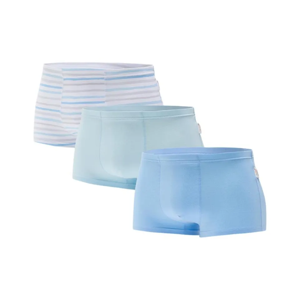 Antakids Трусы 3 упаковки Темно-синий Светло-синий Белый Подростки