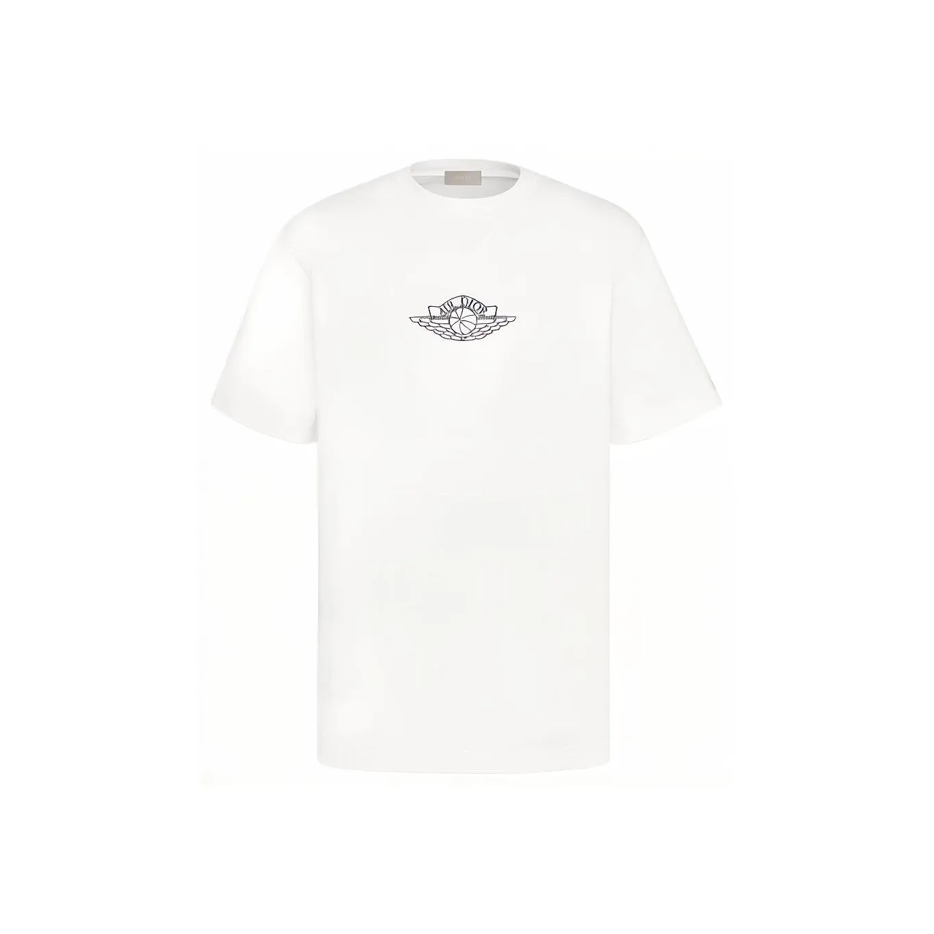 DIOR X Air rubber jordan Wings T Shirt