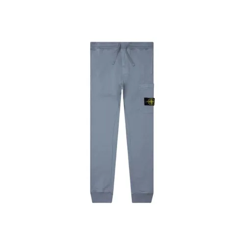 STONE ISLAND Светло-синие Мужские брюки карго