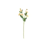 아이스버그 로즈 - 세 가지 색상, 1줄기
