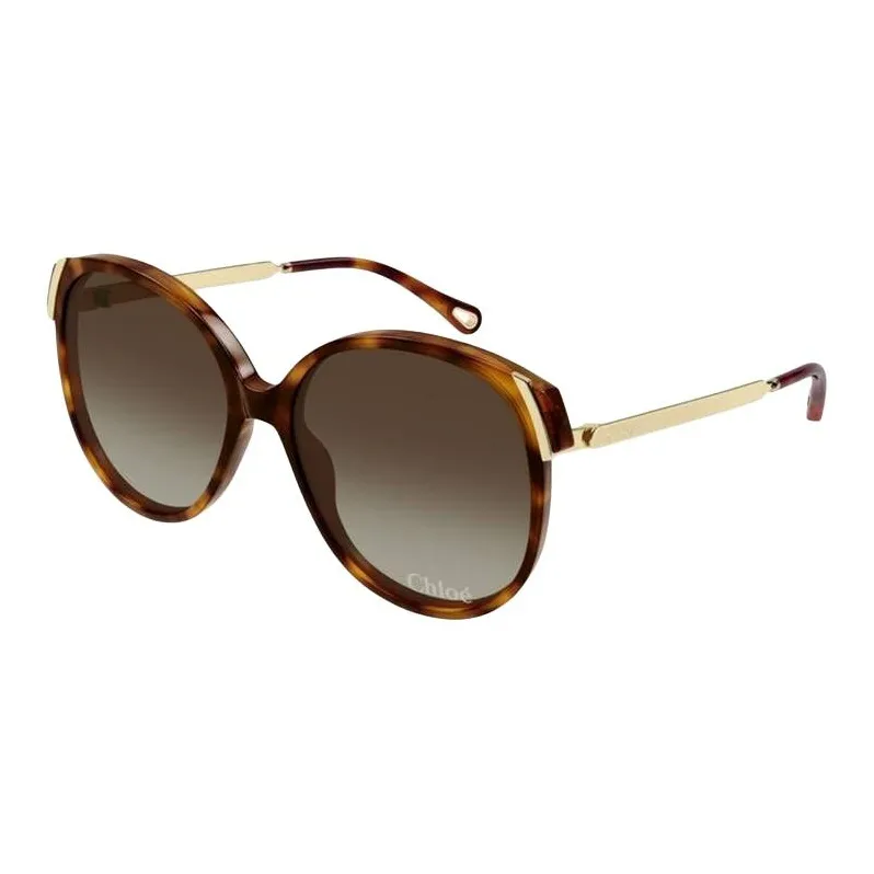 Chloe Acetate Oval Sunglasses Women's Tortoiseshell