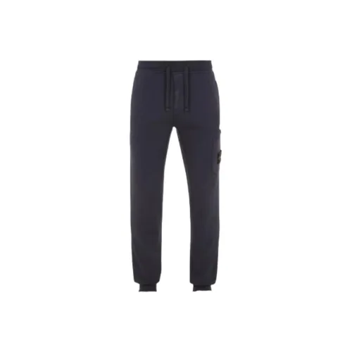 STONE ISLAND Мужские брюки карго синие