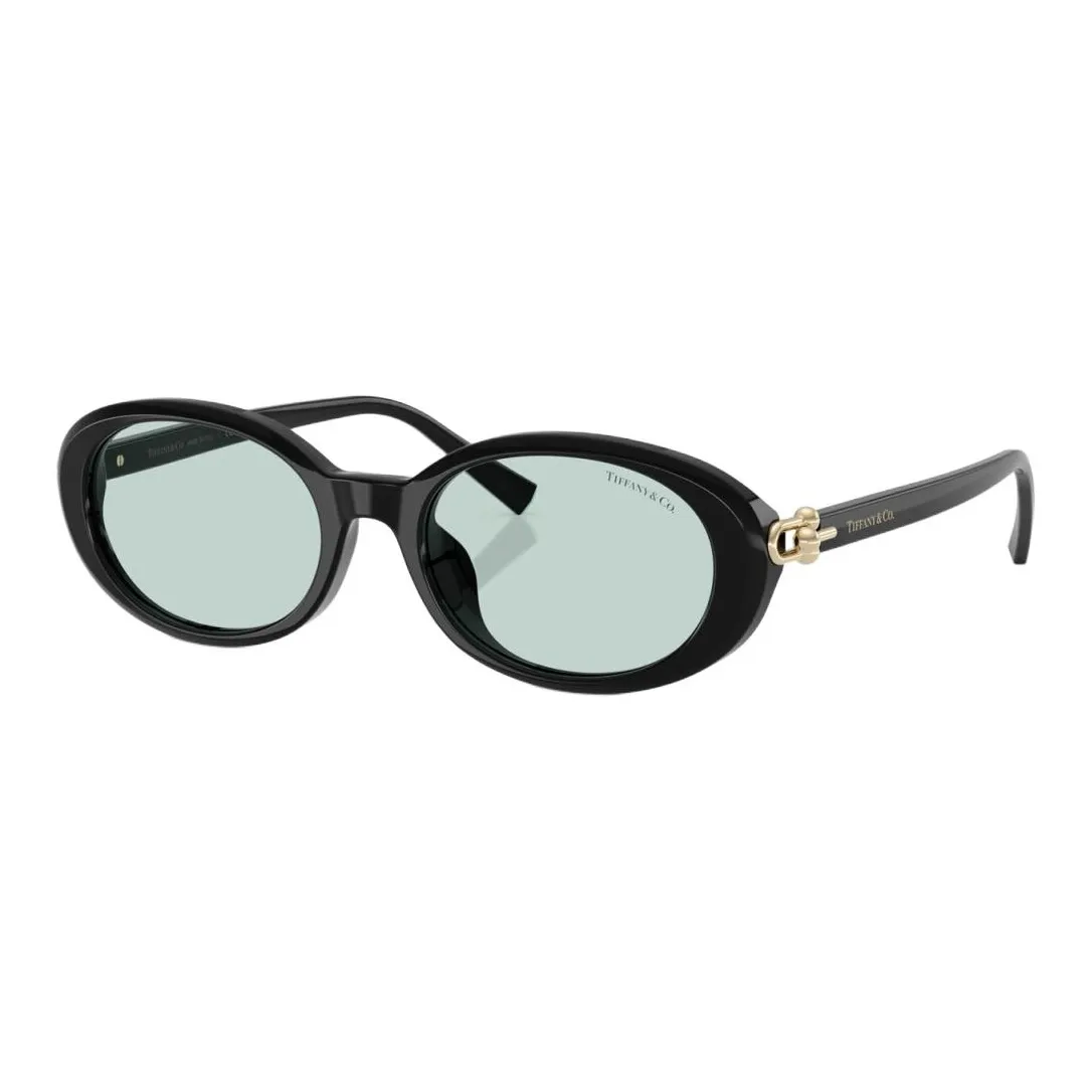 TIFFANY CO. Ацетатные солнцезащитные очки OVAL SUNGLASSES Женские Черные