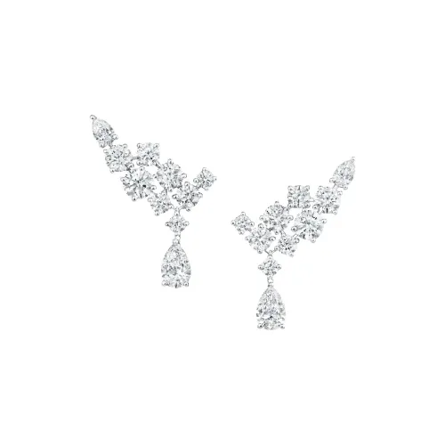 HARRY WINSTON Серьги Женские