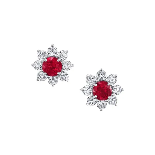 HARRY WINSTON Серьги Женские