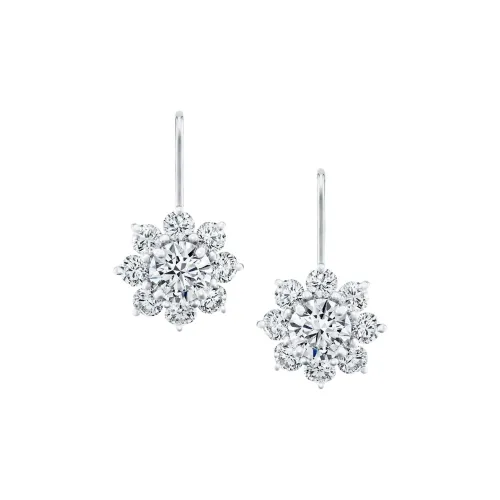 HARRY WINSTON Серьги Женские