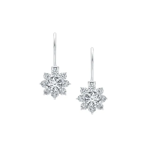 HARRY WINSTON Серьги Женские