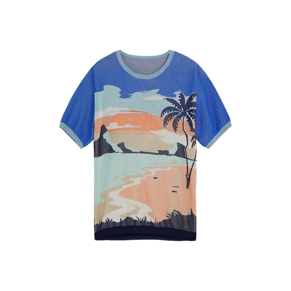 Desigual Озерно-голубой Мужская T-рубашка