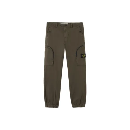 STONE ISLAND Мужские брюки карго армейского зеленого цвета