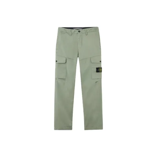 STONE ISLAND Мужские брюки карго шалфейно-зеленого цвета