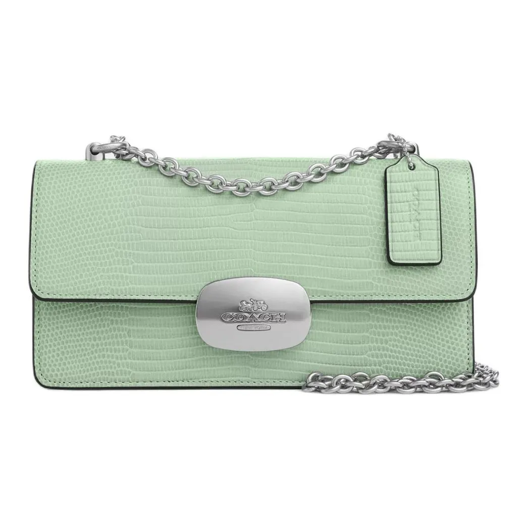 COACH Eliza Кожа Сумка через плечо Маленькая Женская Серебряный и Светло-зеленый