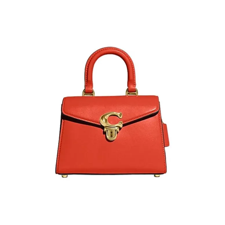 COACH Cow Leather Lady Dior Bag, Crossbody Bag, Handbag Women's Orange
